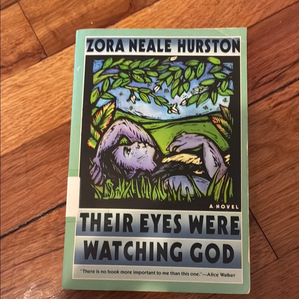Their Eyes Were Watching God Book